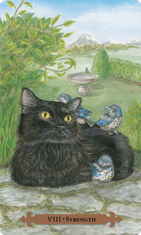 Mystical Cats Tarot deck box and cards with feline artwork Raven’s Cauldron, Delaware, OH