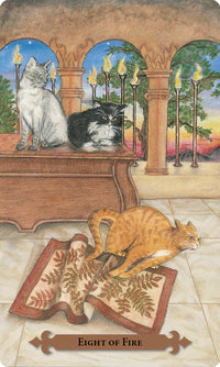 Mystical Cats Tarot deck box and cards with feline artwork Raven’s Cauldron, Delaware, OH