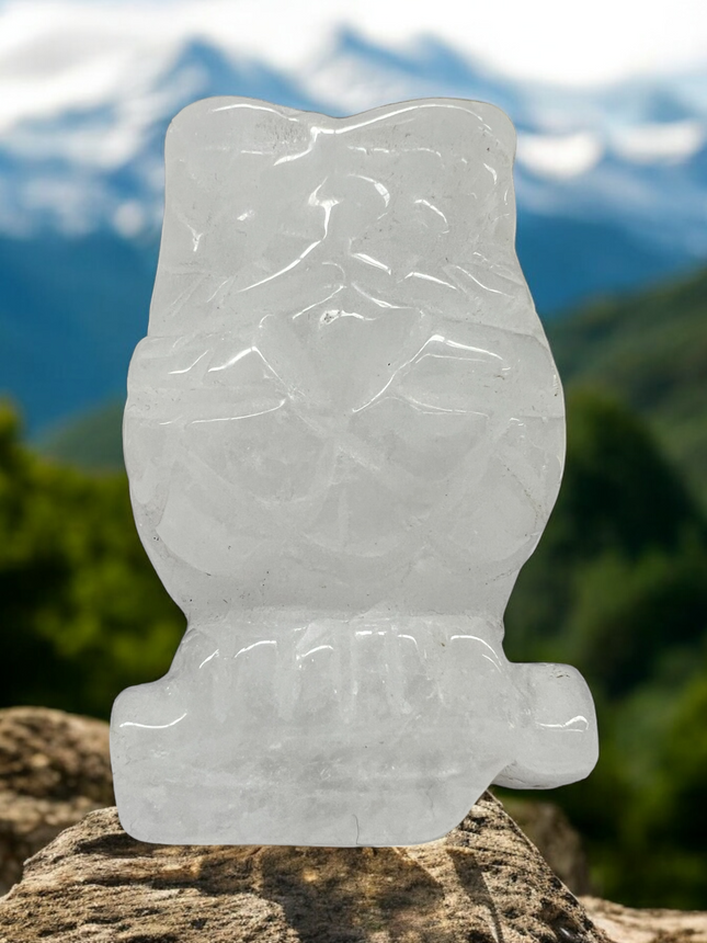 Gemstone_Owl_Carving_Ravens_Cauldron_6_North_Sandusky_Street_Delaware_Ohio_43015