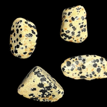 Dalmatian Jasper Tumble - Playful - Raven's Cauldron