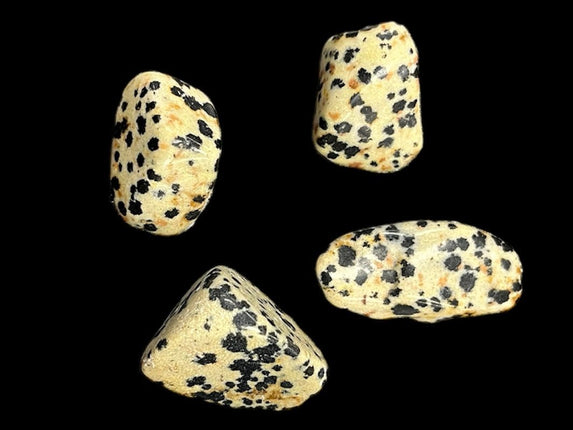 Dalmatian Jasper Tumble - Playful - Raven's Cauldron