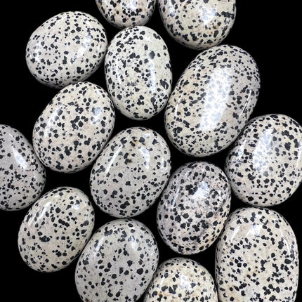 Dalmatian Jasper Palm Stone, Raven's Cauldron, 6 N Sandusky St, Delaware, OH 43015