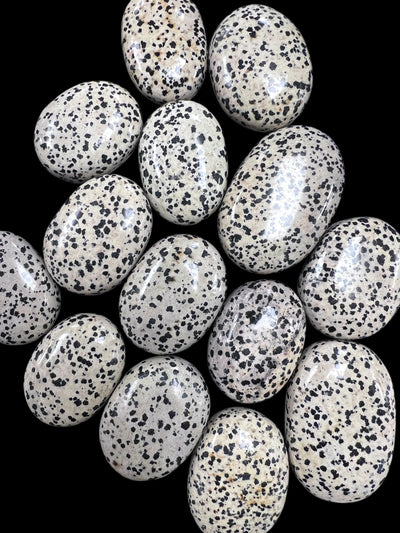 Dalmatian Jasper Palm Stone – 65g Grounding Crystal for Joy, Balance & Protection | 2 x 1.5 Inches