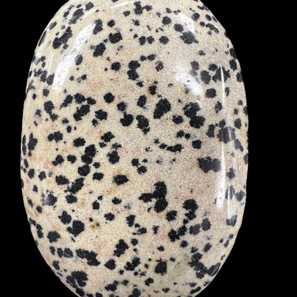 Dalmatian Jasper Palm Stone, Raven's Cauldron, 6 N Sandusky St, Delaware, OH 43015