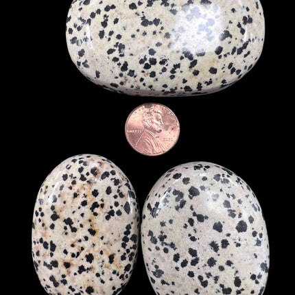 Dalmatian Jasper Palm Stone, Raven's Cauldron, 6 N Sandusky St, Delaware, OH 43015