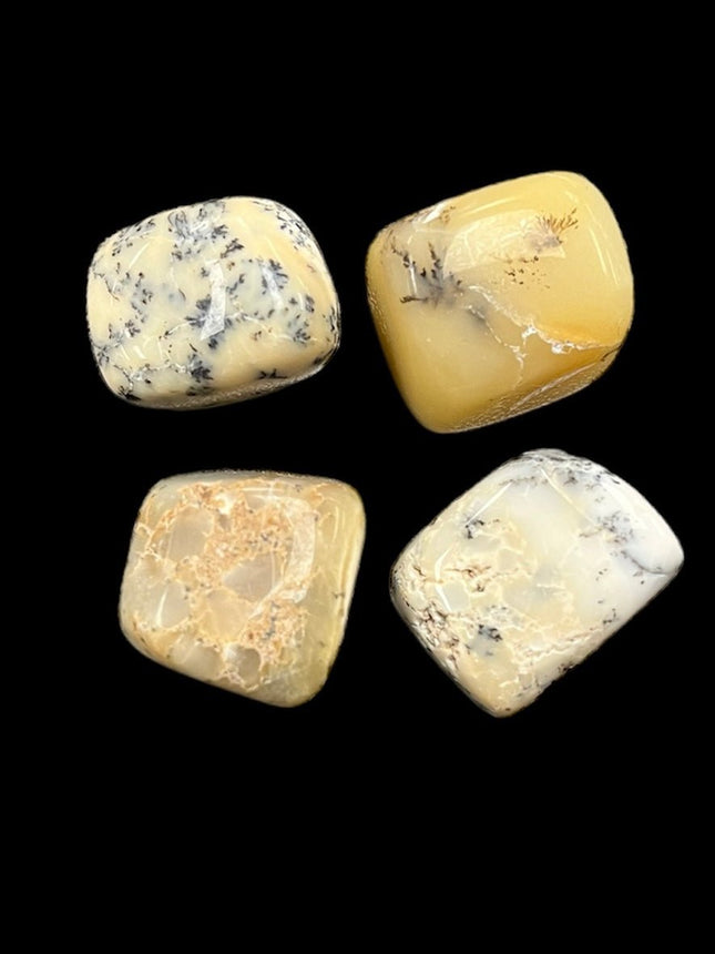 Dendritic Opal Tumble - Spiritual Growth - Raven's Cauldron