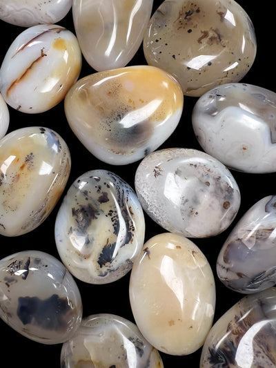 Dendritic Agate Palm Stones – Natural Patterned Healing Crystals for Growth, Grounding & Spiritual Connection