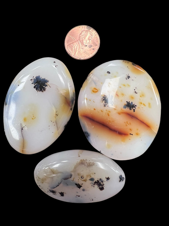Dendritic Agate Palm Stone, Raven's Cauldron, 6 N Sandusky St, Delaware, OH 43015