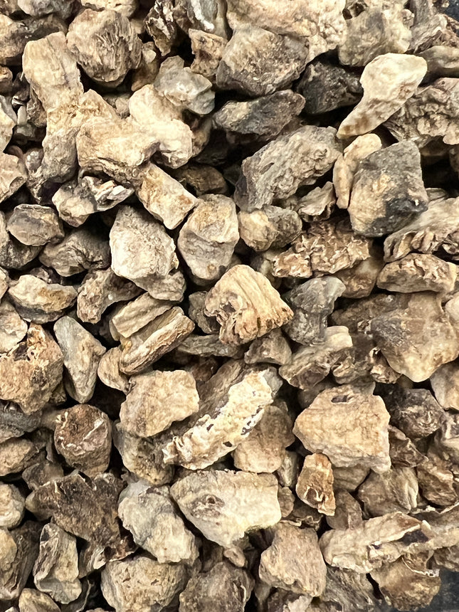 Premium 1 oz bag of Devil's Claw Root for protection, reversal, uncrossing, banishing, and spiritual ritual work at Raven's Cauldron, Delaware, OH.