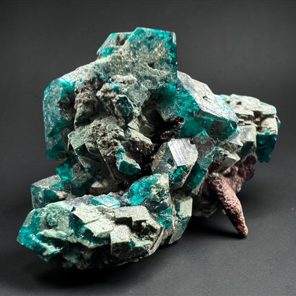 Dioptase crystal 12 grams raw green mineral specimen for heart chakra healing and emotional balance, Raven's Cauldron, 6 N Sandusky St, Delaware, OH 43015