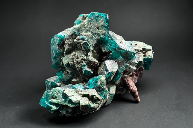 Dioptase crystal 12 grams raw green mineral specimen for heart chakra healing and emotional balance, Raven's Cauldron, 6 N Sandusky St, Delaware, OH 43015