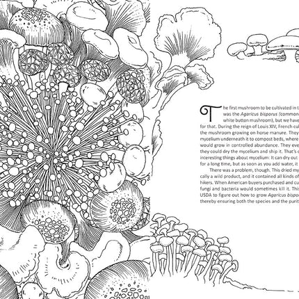 Fantastic Fungi coloring book by Louie Schwartzberg