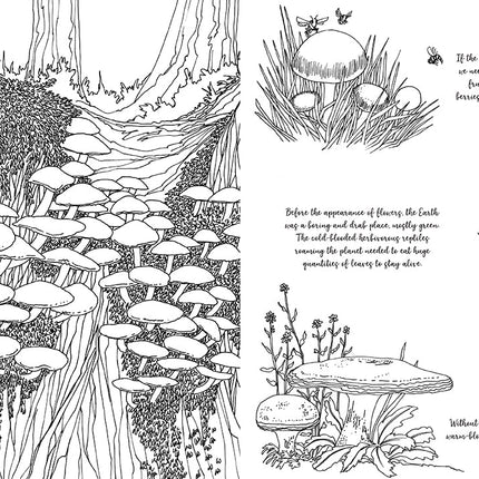 Fantastic Fungi coloring book by Louie Schwartzberg