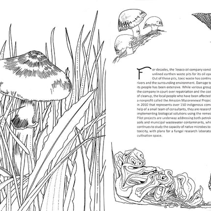 Fantastic Fungi coloring book by Louie Schwartzberg