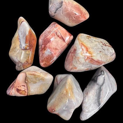 Flint Palm Stone, Raven's Cauldron, 6 N Sandusky St, Delaware, OH 43015