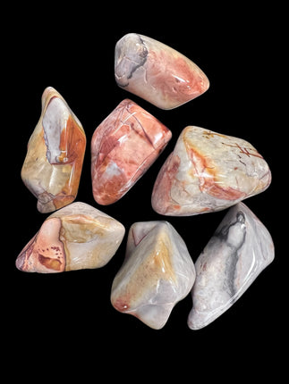 Flint Palm Stone, Raven's Cauldron, 6 N Sandusky St, Delaware, OH 43015