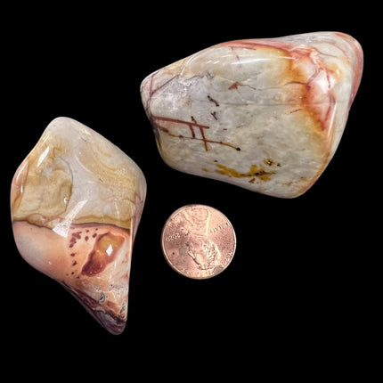 Flint Palm Stone, Raven's Cauldron, 6 N Sandusky St, Delaware, OH 43015