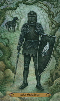 Forest of Enchantment Tarot deck boxed set with guidebook and illustrated cards Raven's Cauldron Delaware OH