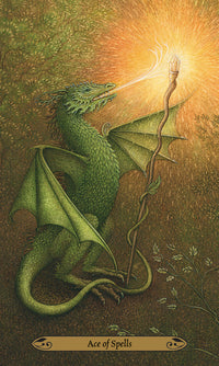 Forest of Enchantment Tarot deck boxed set with guidebook and illustrated cards Raven's Cauldron Delaware OH