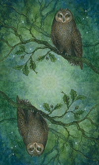 Forest of Enchantment Tarot deck boxed set with guidebook and illustrated cards Raven's Cauldron Delaware OH