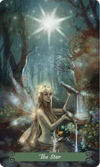 The Green Witch Tarot deck with guidebook and magnetic box set featuring nature-based tarot cards Raven's Cauldron, Delaware, OH