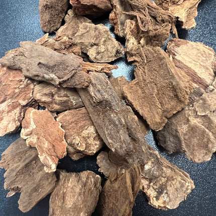 Whole Jezebel Root in a 1 oz bag for prosperity, attraction, influence, and traditional spiritual practices from Raven's Cauldron, Delaware, OH