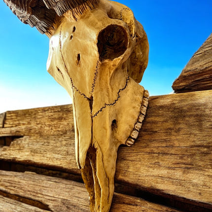 Kudu_Skull_Statue_Ravens_Cauldron_6_North_Sandusky_Street_Delaware_Ohio_43015