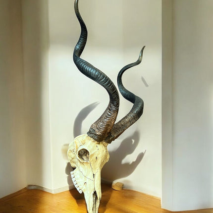 Kudu_Skull_Statue_Ravens_Cauldron_6_North_Sandusky_Street_Delaware_Ohio_43015