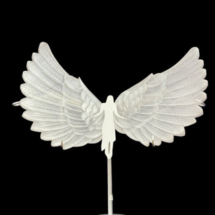 Large Selenite Wings - 12 Inch Wingspan - Raven's Cauldron