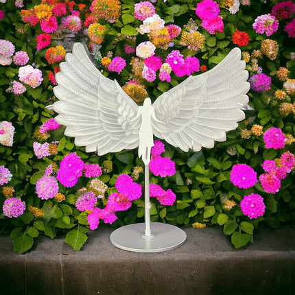 Large Selenite Wings - 12 Inch Wingspan - Raven's Cauldron