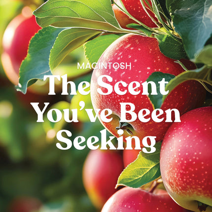 Yankee Candle Macintosh, Raven's Cauldron, 6 N. Sandusky St., Delaware, OH 43015