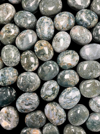 Moss Agate Palm Stones, Raven's Cauldron, 6 N Sandusky St, Delaware, OH 43015