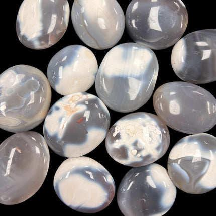 Orca Agate Palm Stone, Raven's Cauldron, 6 N Sandusky St, Delaware, OH 43015