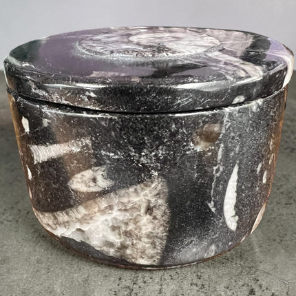 Orthoceras fossil box with lid round 2.5 inch crystal storage container Raven’s Cauldron Delaware Ohio