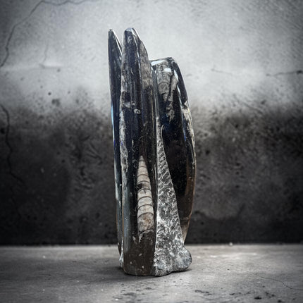 Polished Orthoceras fossil tower 787 grams with visible ancient marine fossil patterns from 400 million years ago, Raven's Cauldron, 6 N Sandusky St, Delaware, OH 43015