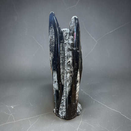 Polished Orthoceras fossil tower 787 grams with visible ancient marine fossil patterns from 400 million years ago, Raven's Cauldron, 6 N Sandusky St, Delaware, OH 43015