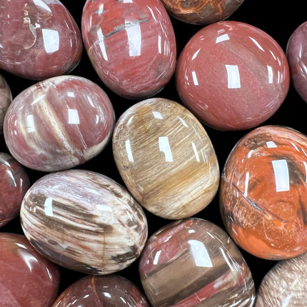 Petrified Palm Wood Palm Stones, Raven's Cauldron, 6 N Sandusky St, Delaware, OH 43015