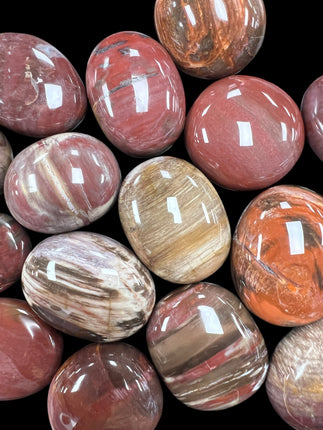 Petrified Palm Wood Palm Stones, Raven's Cauldron, 6 N Sandusky St, Delaware, OH 43015