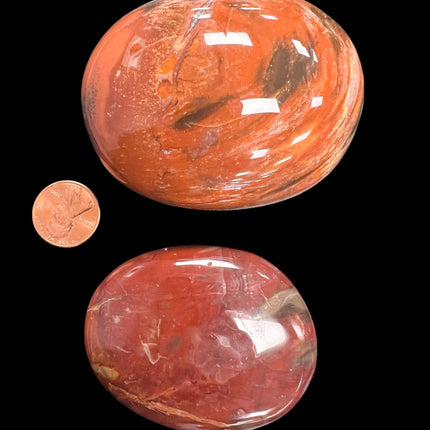 Petrified Palm Wood Palm Stones, Raven's Cauldron, 6 N Sandusky St, Delaware, OH 43015