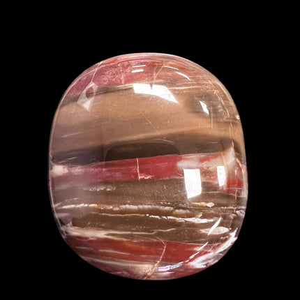 Petrified Palm Wood Palm Stones, Raven's Cauldron, 6 N Sandusky St, Delaware, OH 43015