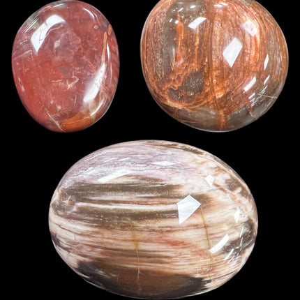 Petrified Palm Wood Palm Stones, Raven's Cauldron, 6 N Sandusky St, Delaware, OH 43015