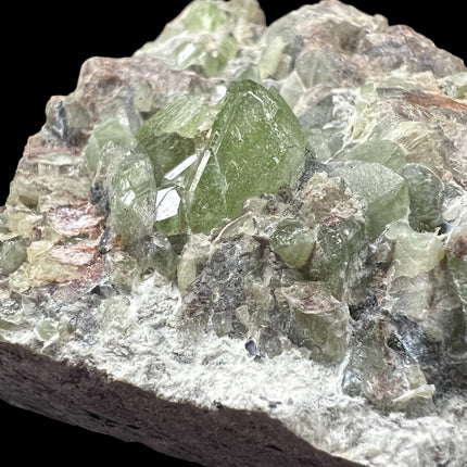 Natural Peridot in Matrix crystal specimen from Pakistan weighing 120 grams with vibrant green Peridot crystals in host rock – Raven's Cauldron, Delaware, OH