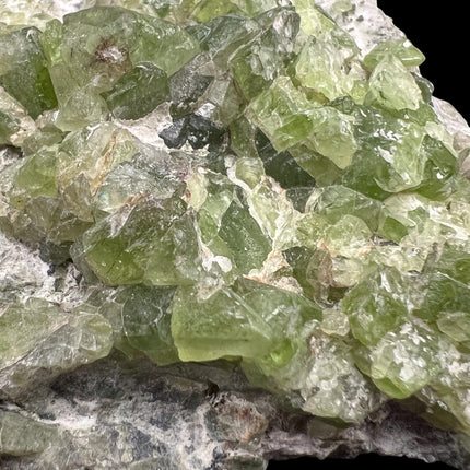 Natural Peridot in Matrix crystal cluster from Pakistan featuring abundant green Peridot crystals in host rock, 157 grams, 3 x 2.5 x 0.75 inches – Raven's Cauldron, Delaware, OH