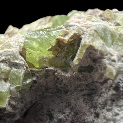 Natural Peridot in Matrix crystal specimen from Pakistan weighing 210 grams with vibrant green Peridot crystals in host rock – Raven's Cauldron, Delaware, OH

Secondary Image Alt Text: