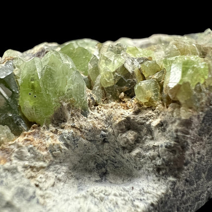 Natural Peridot in Matrix crystal specimen from Pakistan weighing 210 grams with vibrant green Peridot crystals in host rock – Raven's Cauldron, Delaware, OH

Secondary Image Alt Text: