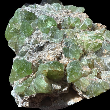 Large Peridot in Matrix mineral specimen from Pakistan with abundant natural green Peridot crystals embedded throughout the matrix – Raven's Cauldron, Delaware, OH