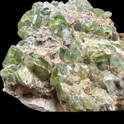 Large Peridot in Matrix mineral specimen from Pakistan with abundant natural green Peridot crystals embedded throughout the matrix – Raven's Cauldron, Delaware, OH