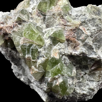 Natural Peridot in Matrix crystal specimen from Pakistan featuring bright green Peridot crystals in host rock, 57 grams, 2.25 x 1 x 1.25 inches – Raven's Cauldron, Delaware, OH