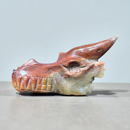 Petrified Wood Dragon Skull from the Raven's Cauldron, 6 N Sandusky St, Delaware OH 43015