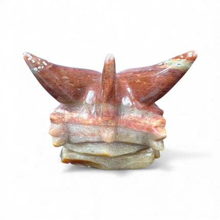 Petrified Wood Dragon Skull from the Raven's Cauldron, 6 N Sandusky St, Delaware OH 43015